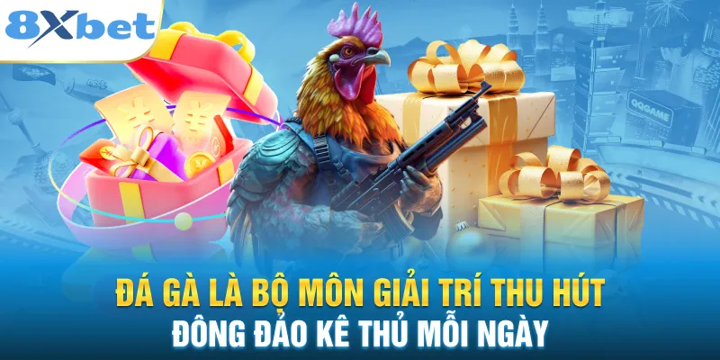 Hình thức đặt cược vào chiến kê hấp dẫn trên hệ thống