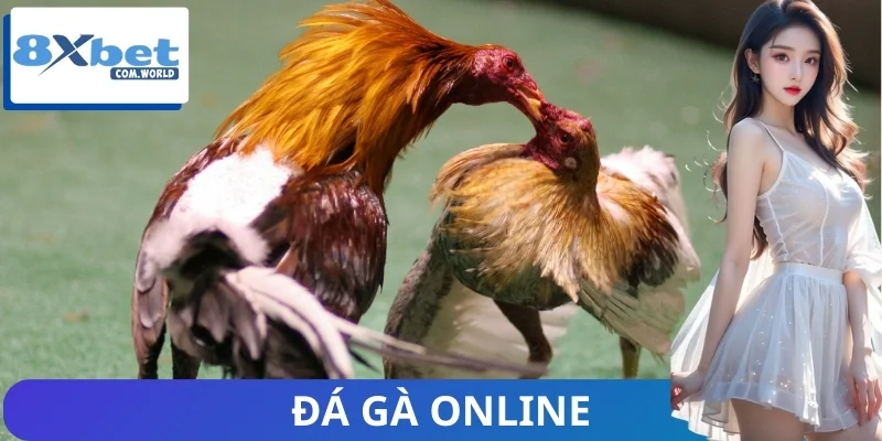 Chiến lược tối ưu hóa lợi nhuận cá cược