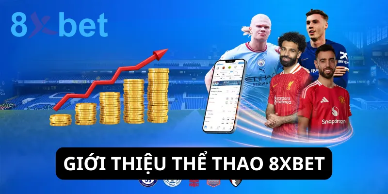 Đôi nét về danh mục thể thao 8xbet